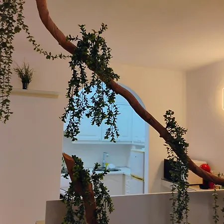 Apartament Royal Vista Mar