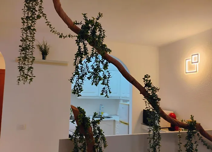 公寓 Royal Vista Mar